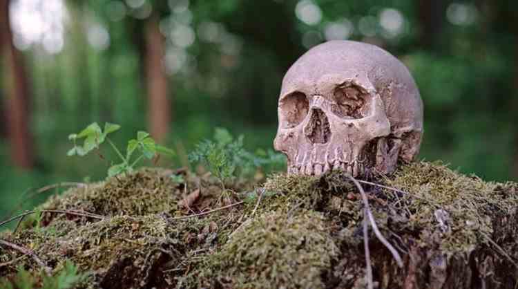 Transformarea cadavrelor umane în îngrășământ natural a fost aprobată în SUA