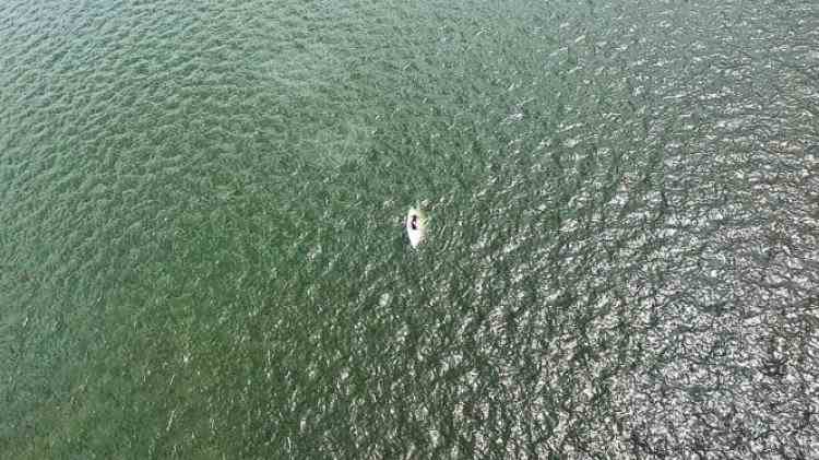 Intervenție pe Lacul Siutghiol, după ce un velier s-a răsturnat - Trei persoane au căzut în apă