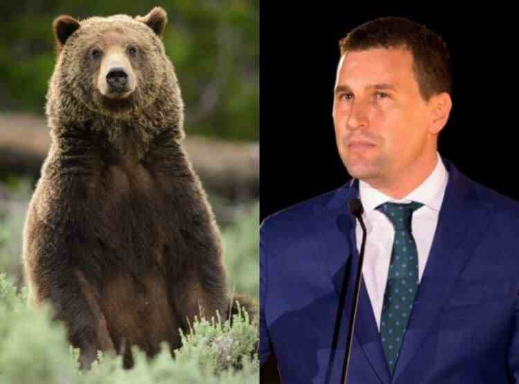 Ministrul Mediului: Luni va intra în avizare interministerială OUG care permite împușcarea urșilor