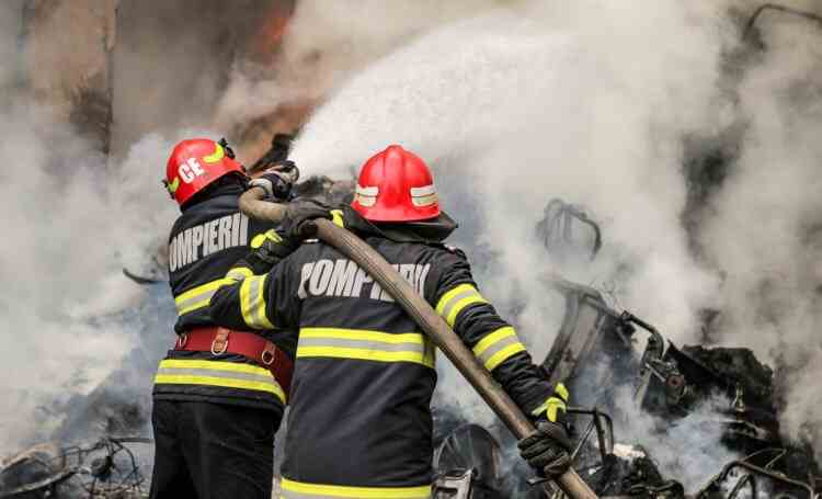Un adăpost de animale din Caraș Severin a ars în totalitate, în urma unui incendiu - Focul a fost pus intenționat