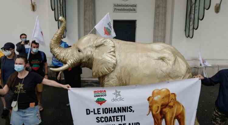 Zeci de tineri protestează în fața Palatului Cotroceni: „Îi cerem președintelui Klaus Iohannis să scoată elefantul de aur din Guvern“