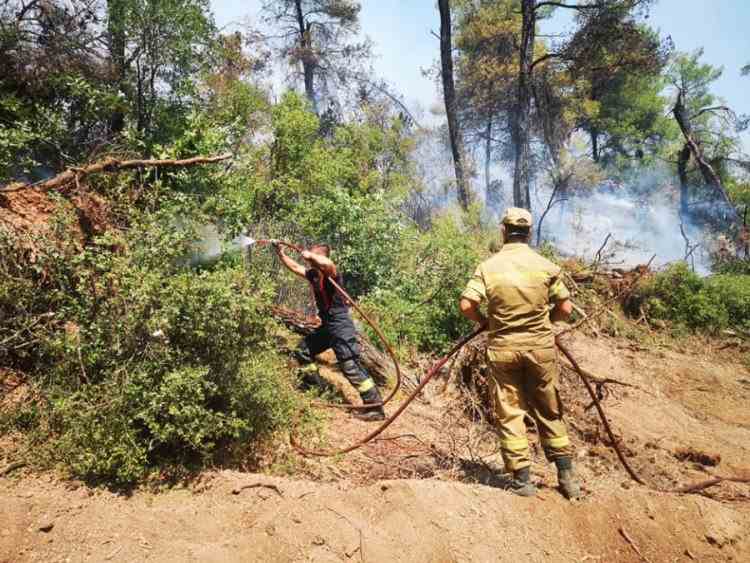 FOTO - Pompierii români, elogiați de presa din Grecia: „Par că sunt de pe altă planetă“