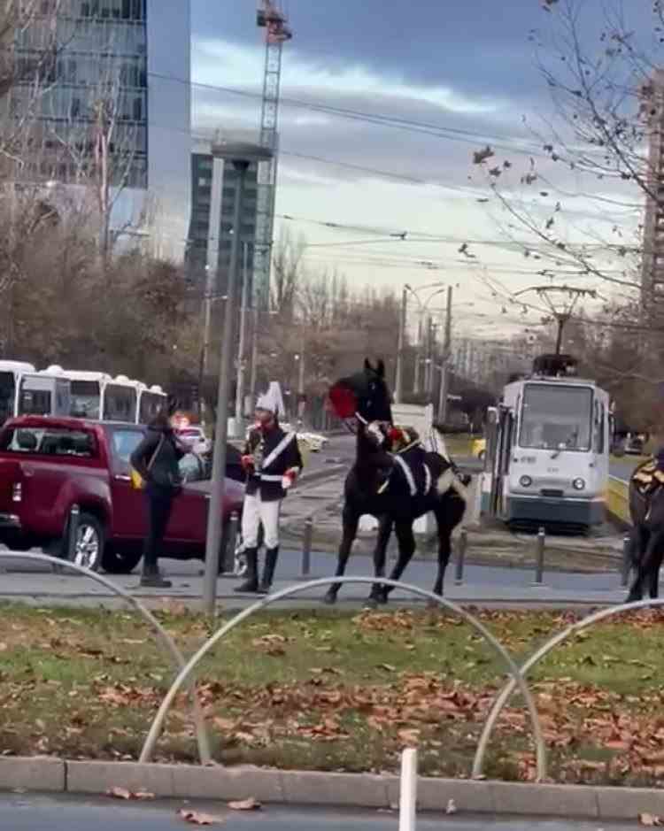 VIDEO: Jandarmeria Capitalei îl dă în judecată pe jandarmul care a căzut de pe cal, pentru că a adus prejudicii de imagine instituției