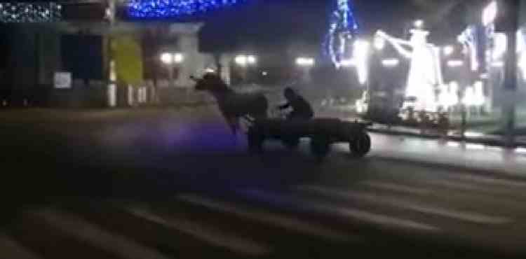 VIDEO: Bărbat din Botoșani, sancționat de polițiști, după ce a făcut „drifturi” cu o căruță