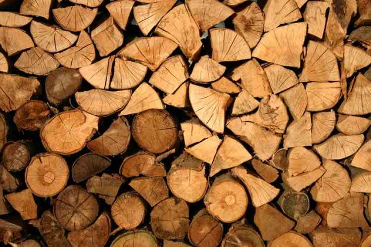 Doi bărbați care tăiau ilegal lemne într-o pădure din Bistrița-Năsăud, au murit după ce un copac a căzut peste ei