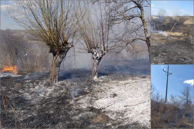 Sute de persoane din Bacău au rămas fără curent electric, după ce un incendiu de vegetație s-a extins la mai mulți stâlpi de electricitate, din lemn