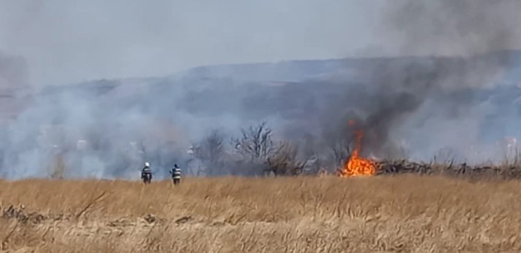 Aproape 130 de hectare de vegetație uscată au ars în urma unui incendiu, la Vaslui