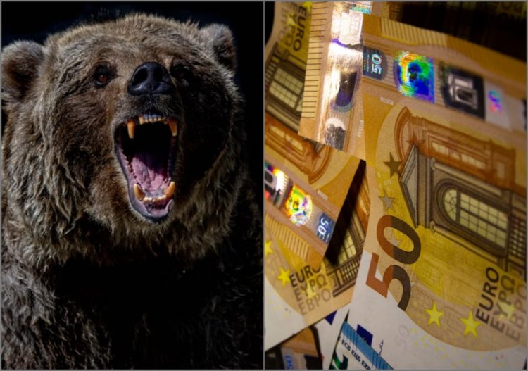 Ministerul Mediului, obligat să îi achite daune morale de 20000 de euro unui pensionar român atacat de o ursoaică