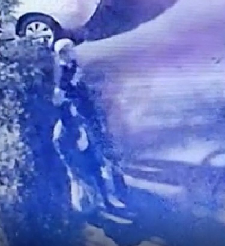 VIDEO: Cei doi suspecți în cazul italianului găsit carbonizat la Măgurele, au fost reținuți - Au fost înregistrați în timp ce cărau trupul tranșat al bărbatului
