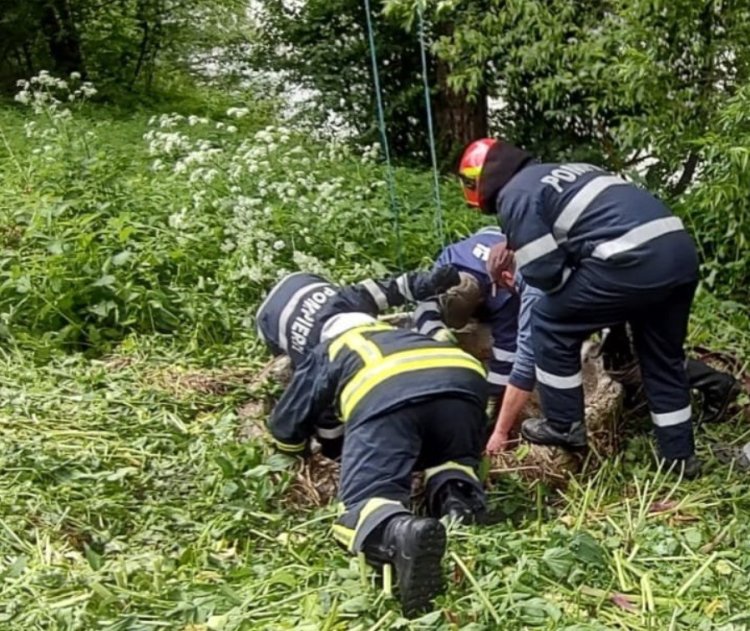 Bărbat dat dispărut din luna noiembrie, găsit mort într-o fântână din apropierea casei sale, la Suceava