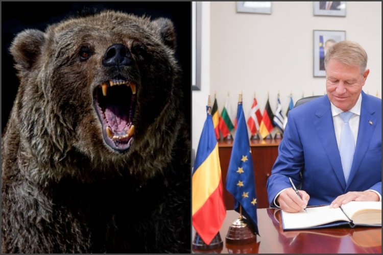Legea care permite intervenția imediată în cazul urșilor periculoși, a fost promulgată de președintele Klaus Iohannis