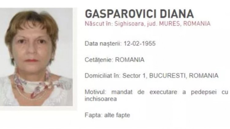 Fapta Dianei Gasparovici din dosarul Trofeul calităţii a fost prescrisă - Femeia urma să fie extrădată din Suedia
