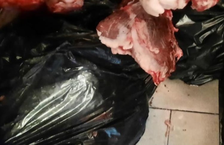 Mascații de la trupele speciale au fost chemați la o intervenție în localurile din Costinești: Inspectorii ANPC au găsit tone de carne expirată
