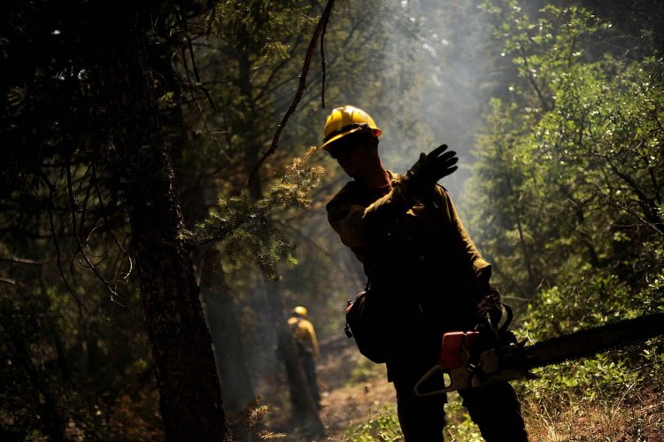 700.000 de hectare de pădure din UE, distruse de incendii, în 2022