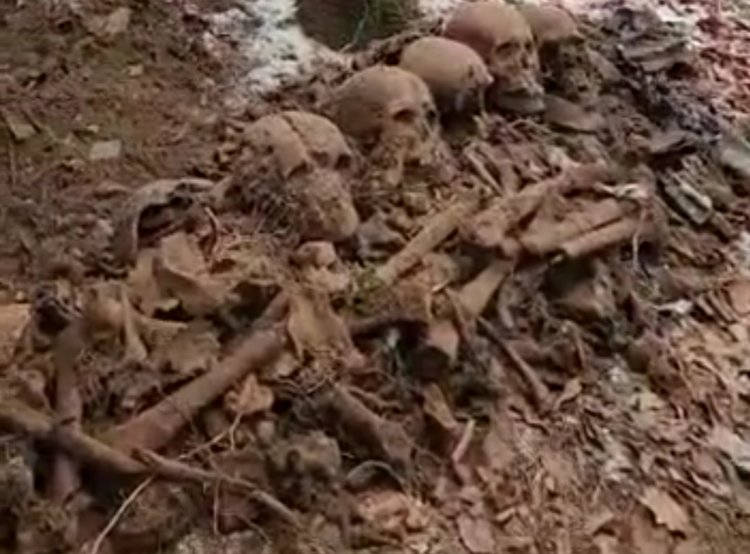 VIDEO: Descoperire în Bacău - Rămășițele a 6 soldați, găsite de un arheolog amator