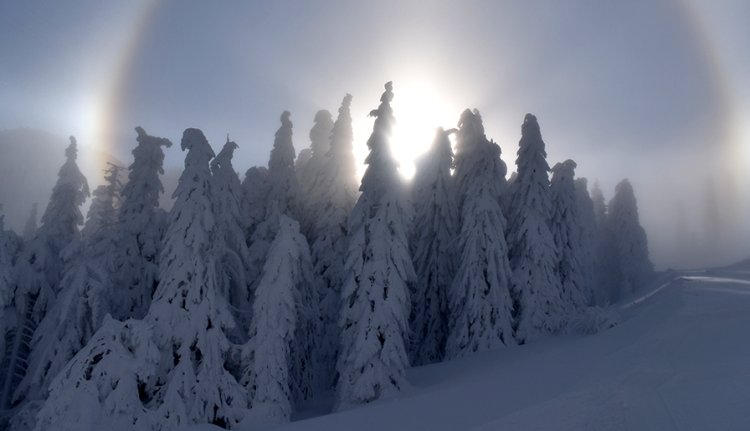Solstițiul de iarnă 2022 are loc pe 21 decembrie, la ora 23:38 - Durata zilei începe să crească