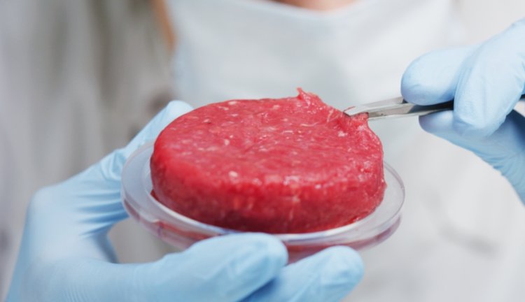 Italia: Amenzi de până la 60.000 de euro pentru comercializarea de carne sintetică și alte alimente produse „în laborator”