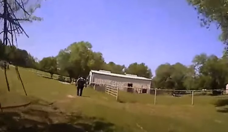 SUA: Doi polițiști au confundat o capră cu un bărbat care striga „ajutor”, în Oklahoma
