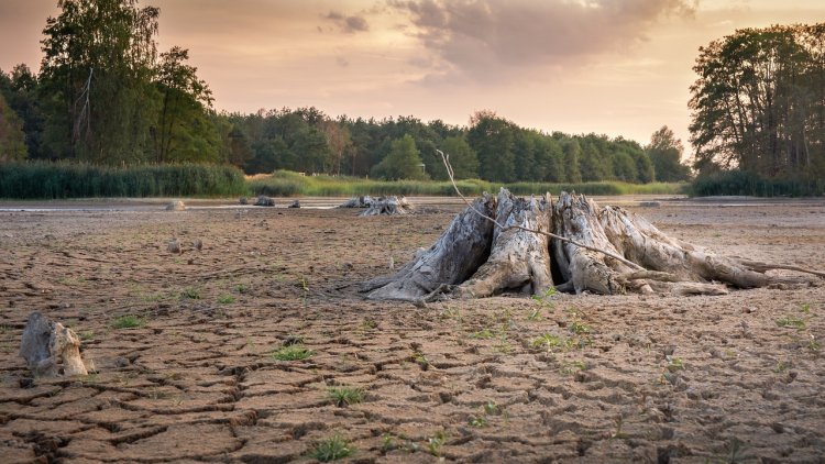 Agenția Europeană de Mediu: Europa, lovită de secetă, valuri de căldură și inundații, în următoarele luni - Sănătatea oamenilor, în pericol