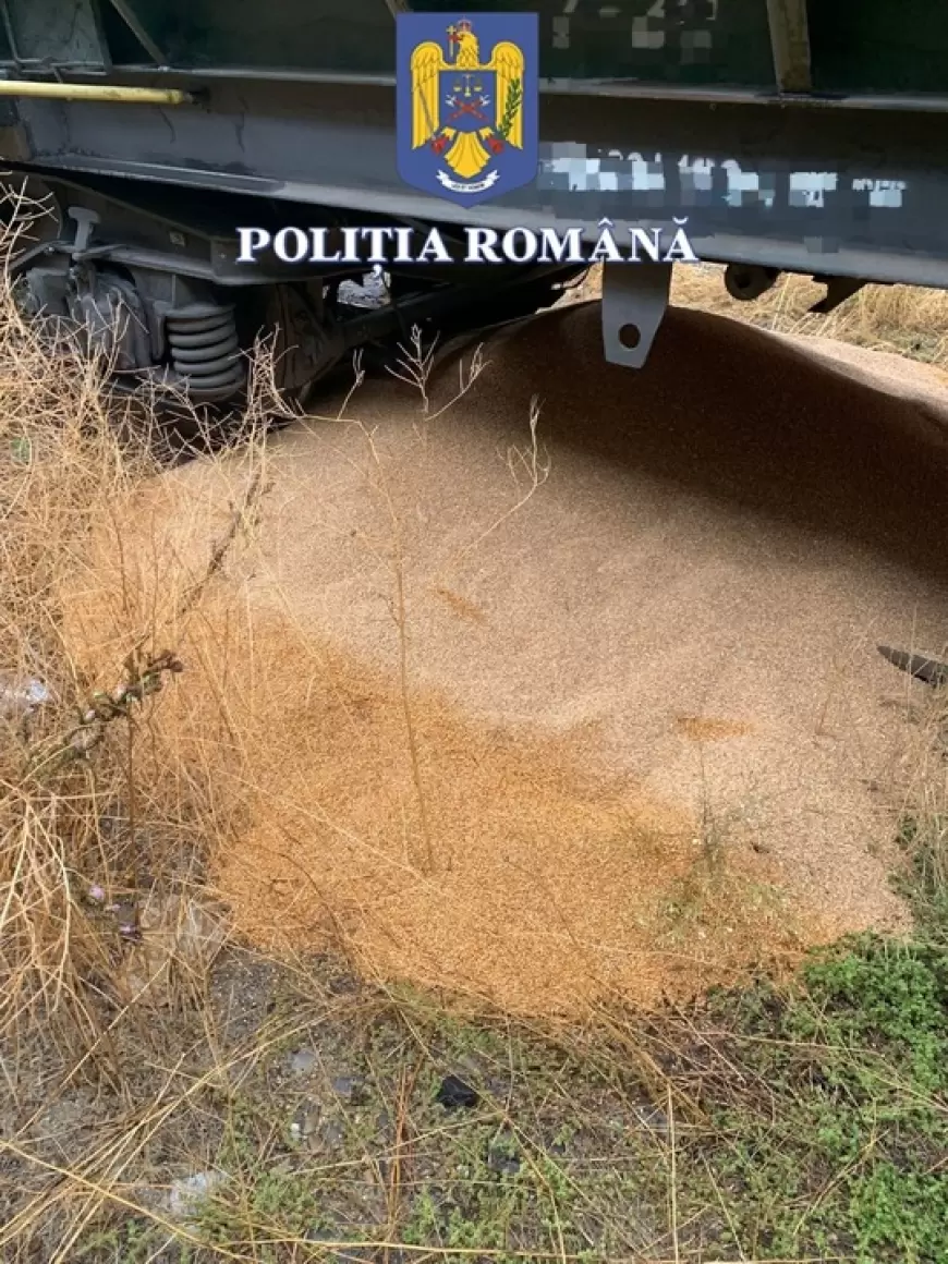 Doi bărbați sunt bănuiți că au furat grâu direct dintr-un marfar care mergea în Portul Constanța: Au provocat o daună uriașă
