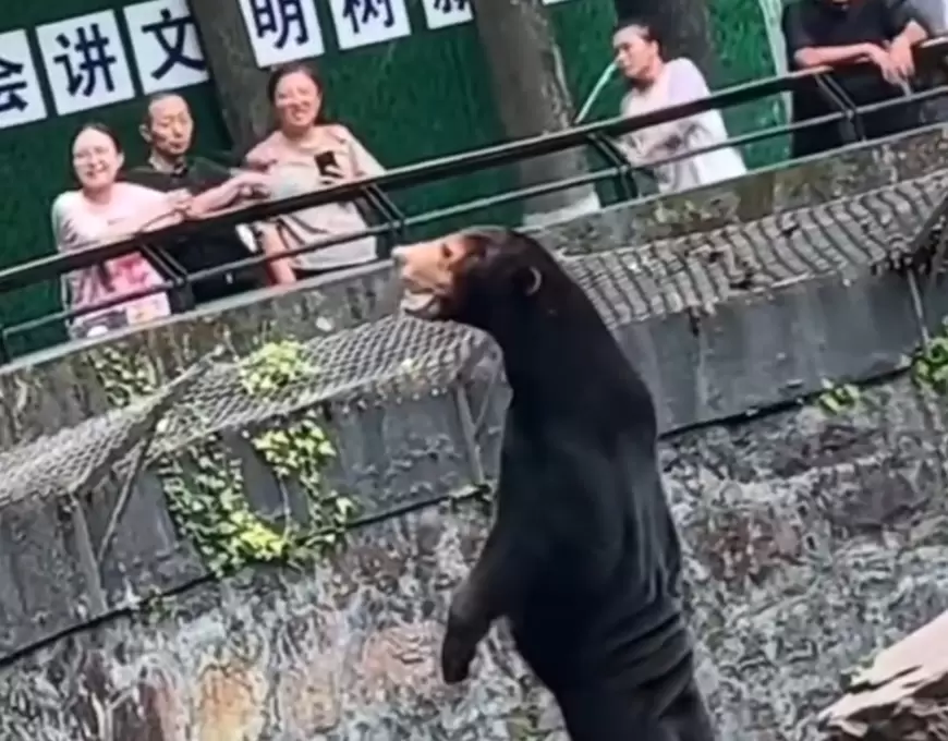 Grădină zoologică din China, acuzată că îmbracă oamenii în animale și îi expune în cuști